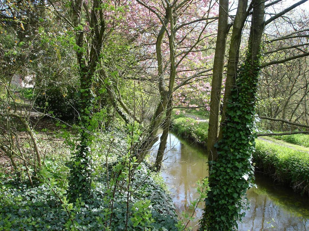 Les Vallees Du Guyoult Dol-de-Bretagne Εξωτερικό φωτογραφία