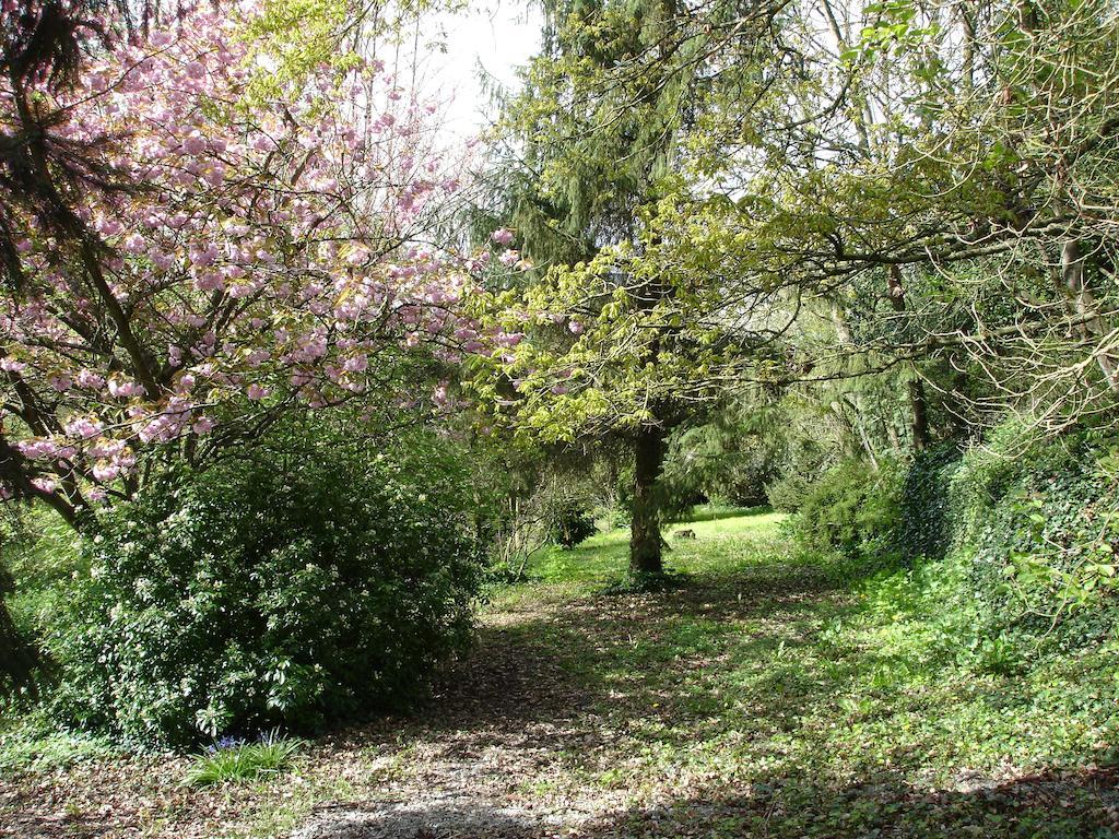 Les Vallees Du Guyoult Dol-de-Bretagne Εξωτερικό φωτογραφία