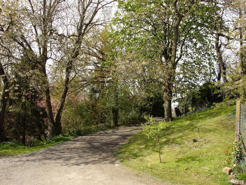 Les Vallees Du Guyoult Dol-de-Bretagne Εξωτερικό φωτογραφία
